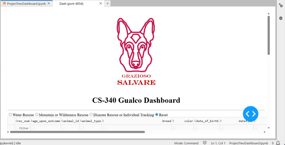 View of Logo and Radio Items